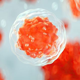 Neutralización de Toxinas